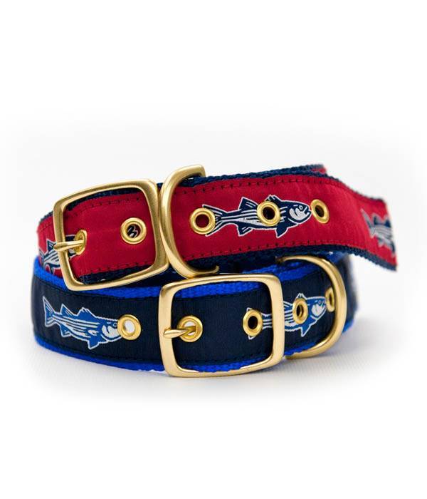 Striper Quick Buckle Dog Collar – On The Water